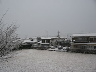 2010-1.13-雪.jpg